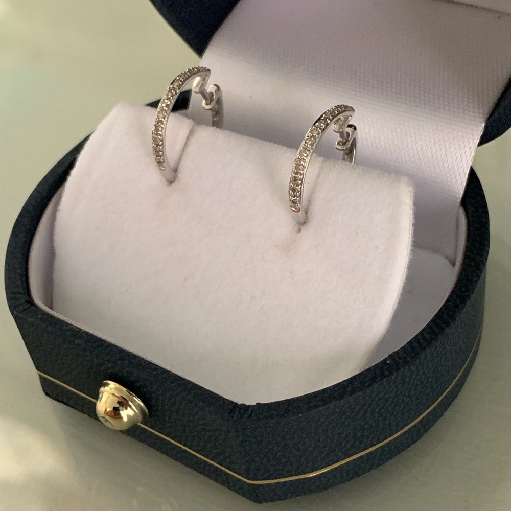 Delicate hoop earrings